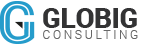 Globig Consulting